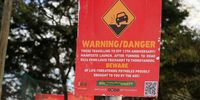 P7 Ferial EFF manifesto