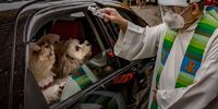 MANILA, PHILIPPINES - OCTOBER 03: A Catholic priest sprinkles holy water on dogs aboard a car via drive-in to prevent the spread of COVID-19, during a pet blessing at Eastwood Mall to mark World Animal Day on October 3, 2021 in Quezon city, Metro Manila, Philippines. World Animal Day is an international day of action for animal rights and welfare celebrated annually on October 4, the feast day of Francis of Assisi, the patron saint of animals. Traditional pet blessings at churches were skipped as religious gatherings remain limited in the Philippines due to the pandemic. (Photo by Ezra Acayan/Getty Images)
