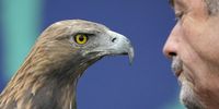 Frankfurt’s mascot, golden eagle Attila before the friendly soccer match between Eintracht Frankfurt and Nottingham Forst in Frankfurt, Germany, 05 August 2023.  EPA-EFE/RONALD WITTEK
