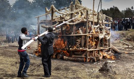 World Elephant Day: Study calls for domestic trade bans and projects to cut demand for ivory