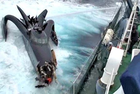 Analysis: This icy whale dance will soon turn deadly