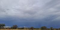 Botswana fields after the rain. Photographer: Annette Celliers
