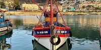 Reflections at Kalkbay Harbour. Photographer: Wendy Hogarth