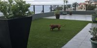 KOLA looking for moles on floor level 4 Tongaat Beach, KZN. Photographer: Pravesh Babulal