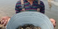 Fred-Crayfish invading