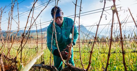 Heating planet could lead to annual $1.6-trillion labour productivity loss, study finds