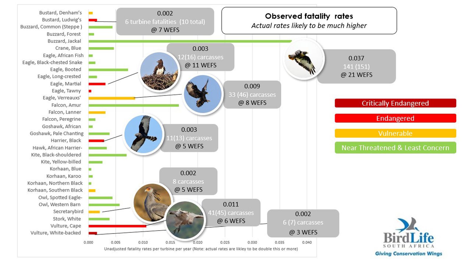 Energy sector explores strategies to limit bird and bat fatalities at ...