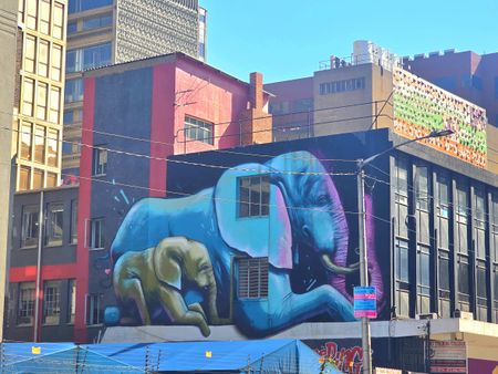 Johannesburg’s walls are giant canvases for the city’s stories