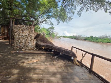 Two rivers, one disaster: the flood that reshaped Pafuri