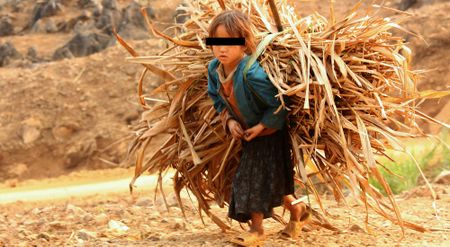 Child Labour: We must refuse to accept the unacceptable