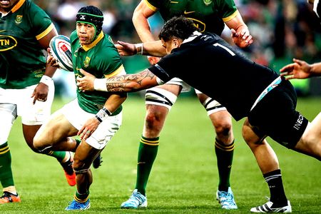 Why the 2025 Rugby Championship will be the Springboks’ Mount Everest