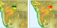 Cash flow in conservancies in 2019 with income from tourism and hunting (left). Cash flow in the same conservancies without income from hunting (right). The removal of hunting income would push most conservancies in the north-east into the red, particularly in the Zambezi Region. Conservancies for which there was either no income or no data for that year are not shown. Source: MEFT and NACSO (2021) The State of Community Conservation in Namibia (2019 Annual Report).