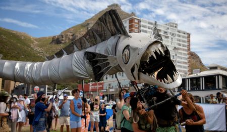 ‘A spit in the face’: Protesters decry West Coast seismic survey