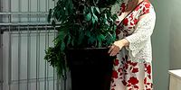 Estelle Ellis-obit