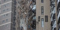 epa09512526 Wreckage of a collapsed bamboo scaffolding hangs to the side of a residential building in Hong Kong, China, 08 October 2021. A worker died and three others were rescued by emergency personnel after the scaffolding around a residential building gave way under the onslaught of rain and wind brought by tropical storm Lionrock.  EPA-EFE/JEROME FAVRE