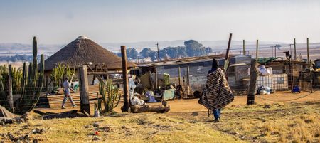 This week: Mandela Day, climate justice and the Ingonyama Trust