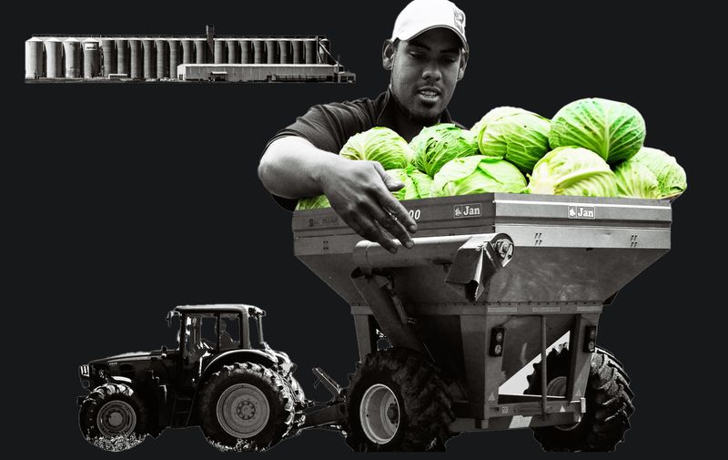 WORLD FOOD DAY OP-ED: El Niño, oil shocks and hunger mean SA needs a synchronised food strategy