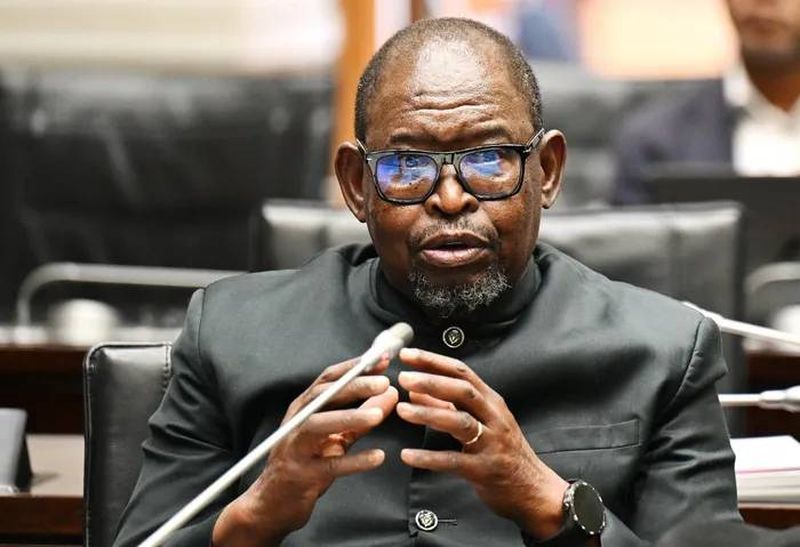 PIC board turmoil: Godongwana must step in to restore trust and continuity