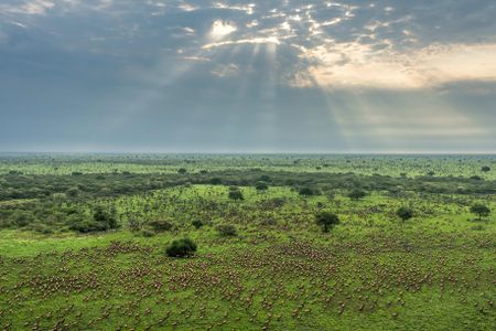 One of Earth’s greatest wildlife miracles just got a World Heritage boost