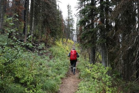 Hiking workouts aren’t just good for your body – they’re good for your mind too
