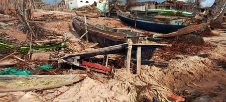 Ducking disaster — what storm-battered Madagascar teaches us about conservation resilience
