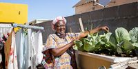 Nomathemba Bakubaku, aka Head Granny, from Bongweni, Khayelitsha, works in her garden watering and weeding, back and front, every day. (Photo: Supplied)<br>