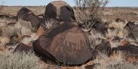 elephant-crossing-karoo