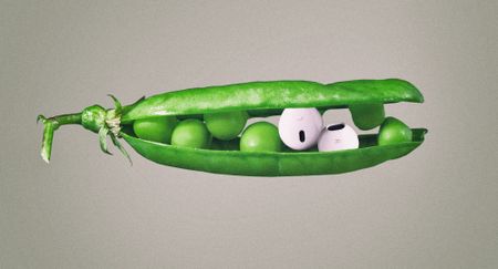 What’s on your plate: Stories about food, politics and identity