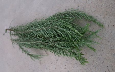 Kingdom of fine herbs