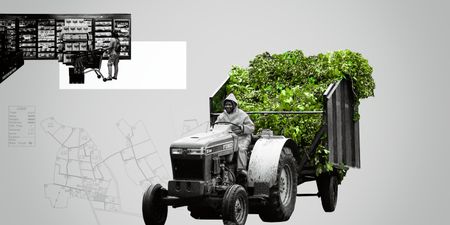 Africa faces huge food-supply obstacles – and time is running out