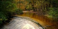  Autumnal colours begin to appear on the trees and foliage at Nant Mill and the Clywedog Trail in the Clywedog Valley on October 23, 2024 in Wrexham, Wales. After recent exceptional rainfall across the UK,  which led to flooding in some areas, low temperatures are bringing on autumnal colours and weather conditions. (Photo by Christopher Furlong/Getty Images)