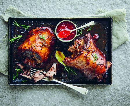 Rusty Wire & Metal Roses: Secrets of a Karoo back yard