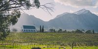Winter in Tulbagh</p>
<p>