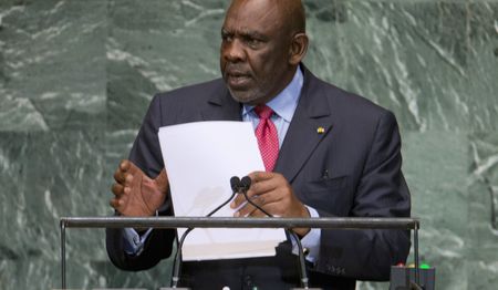 Analysis: Mali intervention - a dangerous idea with too much support