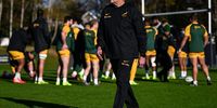 Coaching dynamic may be Springboks’ most important combination before 2027 RWC