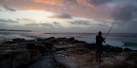 Lockdown Level 3: DEFF clarifies rules for game drives, fishing and hunting 