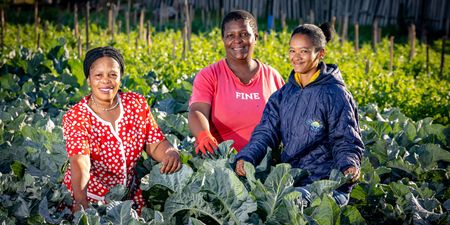 Gqeberha community centre ‘flips’ charity mindset to give members nutrition, empowerment and dignity