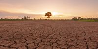 Everything points to El Niño being a record breaker