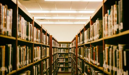 Right of Reply: There is no assault on academic excellence – Bozzoli got it wrong