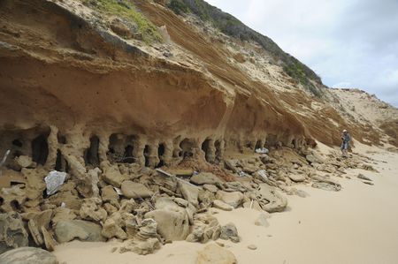 Citizen science, master trackers and deciphering the sands of time