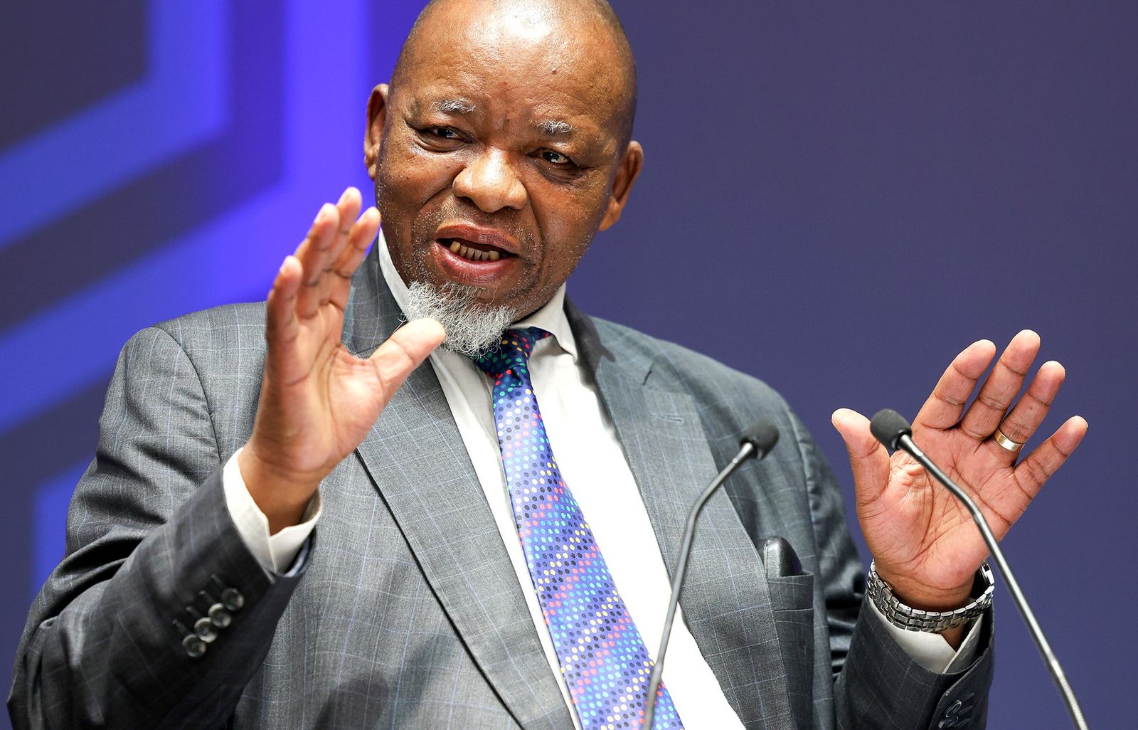 BM Gwede fuel reserve plan