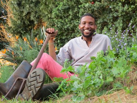 The Easy Peasy guide to growing your own greens