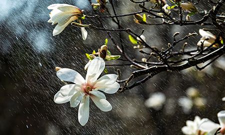 Cautious optimism as potential La Niña return suggests increased rainfall and agricultural hope for SA