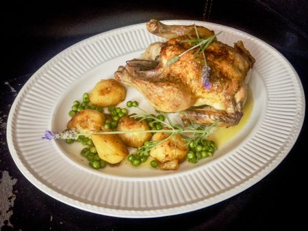 A Fowl Story: Paltry poultry and the Great Chicken Dearth