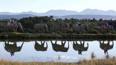 Public Protector finding on tourism maladministration will be one of the first things on the new Knysna council's to-do list