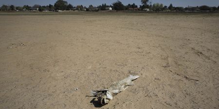 The Vaal Dam, Gauteng’s major water supplier, records weekly declines – department says it’s not critical yet