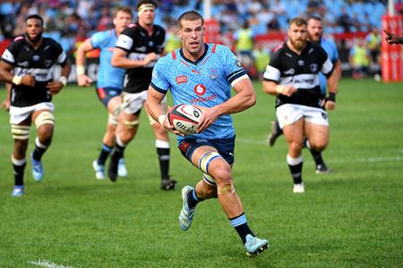 Uncapped Cameron Hanekom gives Rassie powerful options in back row and on bench for UK tour