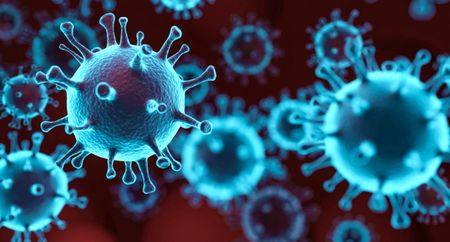 Fourth wave infections ‘stabilised’ — and experts say no new Covid-19 variant in sight