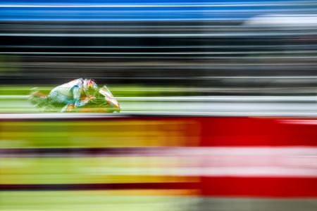 While you were sleeping: 2 February 2016