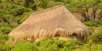 Casinha, 'little home', in the southern Mozambique coastal forest.